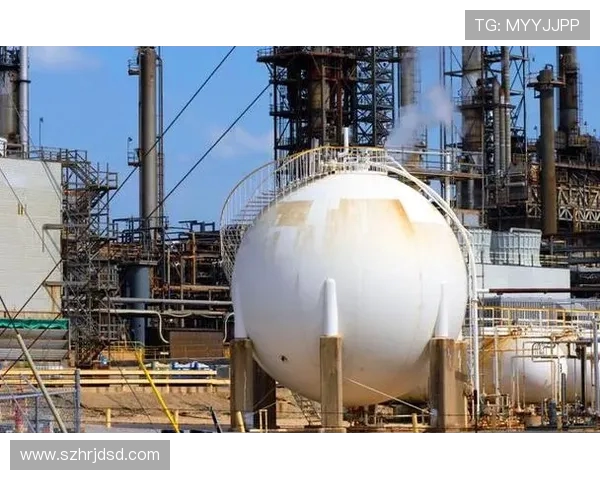 数据分析视角下LNG战术表现的深度解读与未来展望